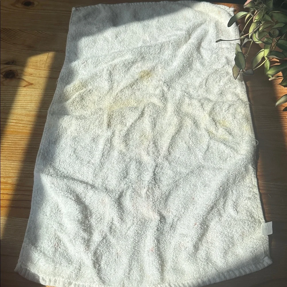 Vintage Baker Teddy Bear Hand Towel